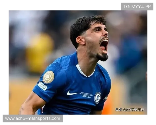 切尔西引援策略获赞未来可期